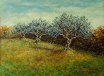 Olive trees