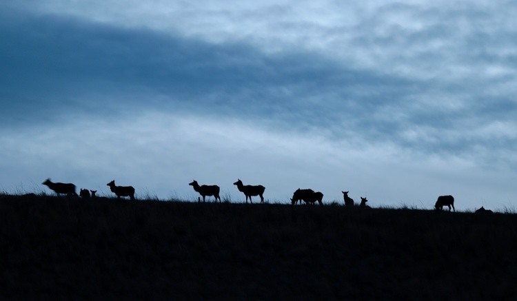 and then it was night ....