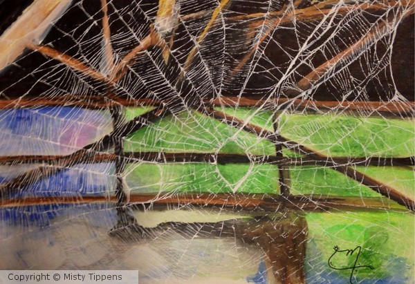 Spider web