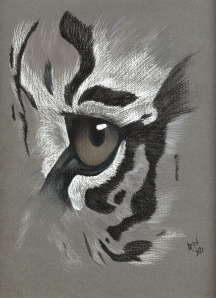 tiger's eye