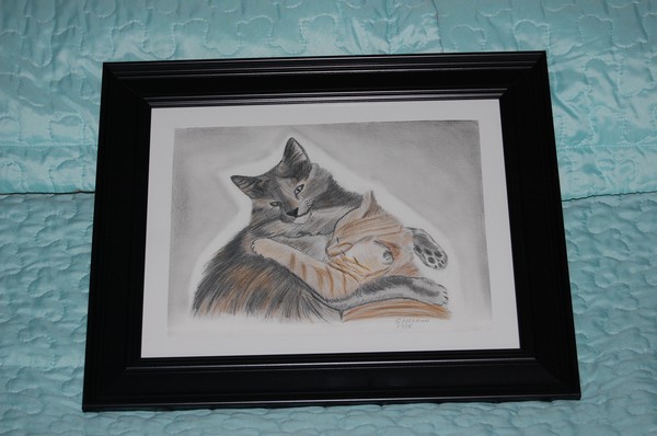 The kitties