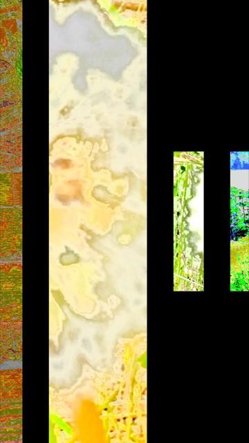 thumbnail-811