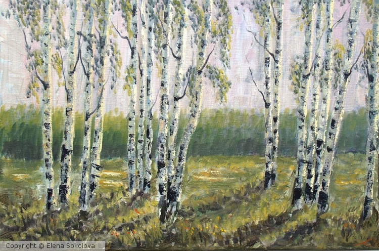 Spring birches