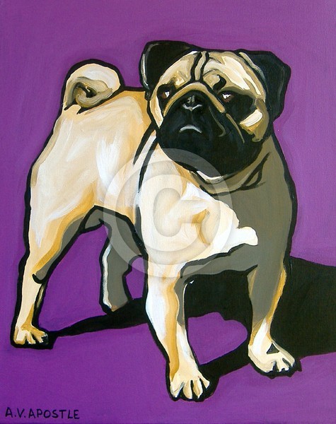 PUG Dog with PURPLE