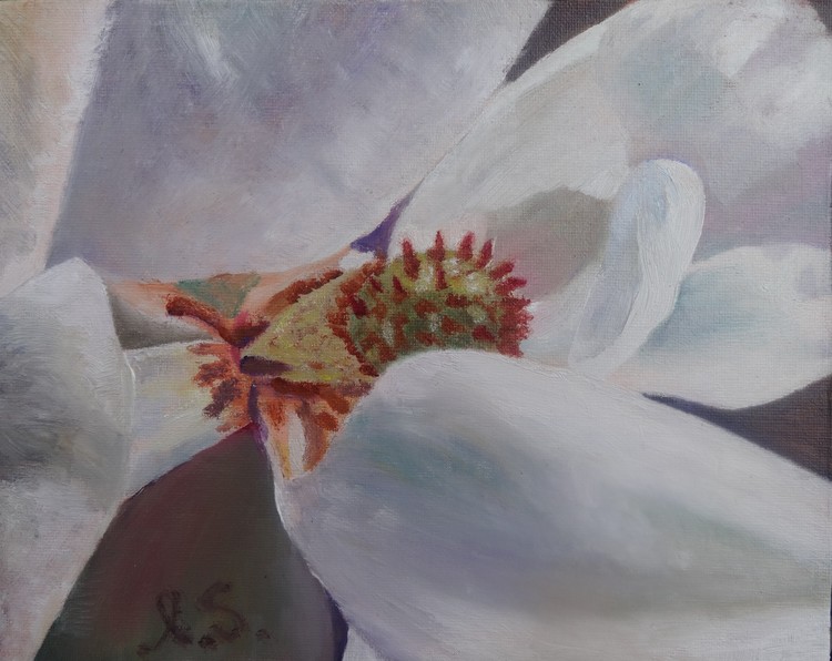 Magnolia