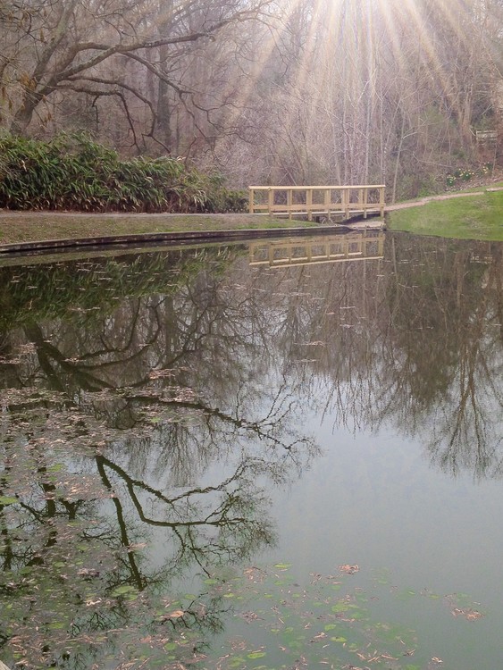 Near Williamsburg