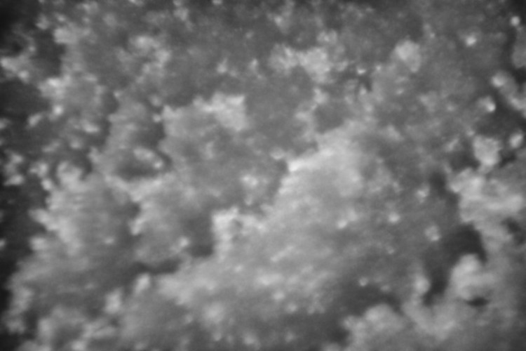 Macro  Space #18