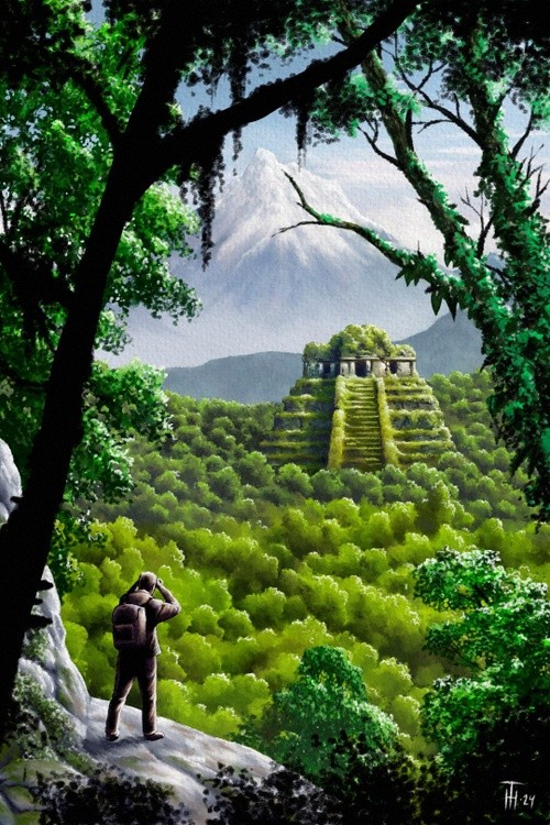 Discovery in the Jungle
