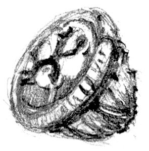 Eucalyptus Seedpod Sketch
