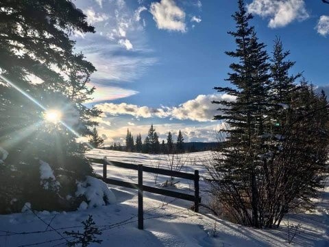 winter sun