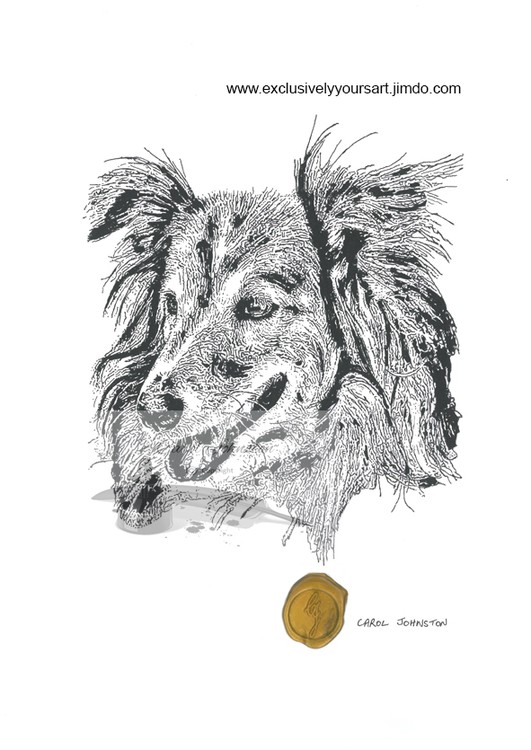 CJ Collie