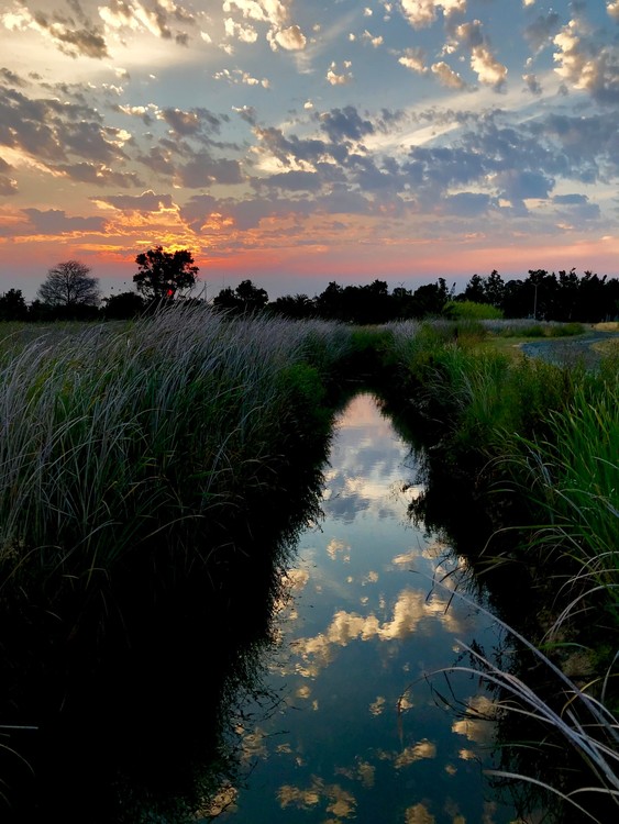 Martinez Shoreline  - Creek at Dawn 