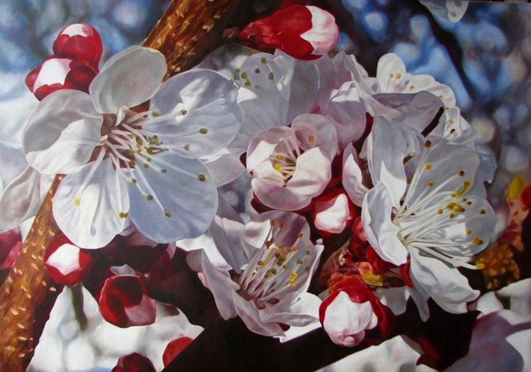 The Spring