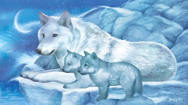 Frost and Moonlight