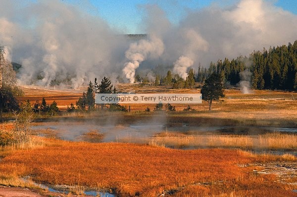 Geyser Basin Morning