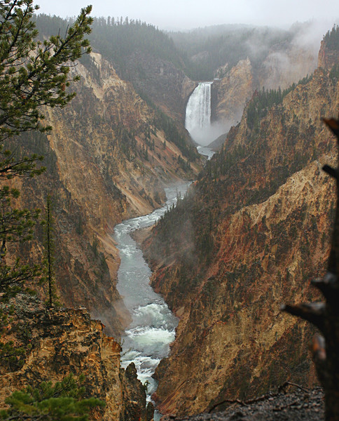 Misty Canyon