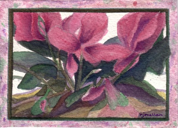 Azaleas study