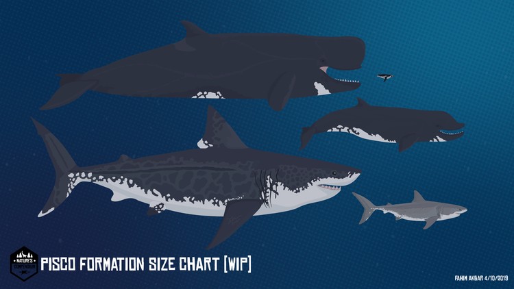 Nature's Compendium: Pisco Formation Size Chart