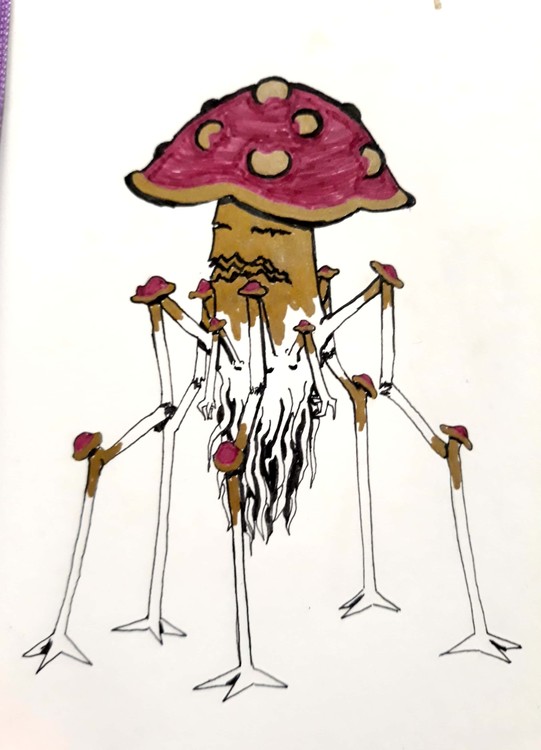 Mushter Color Original