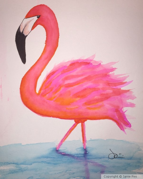 Flamingo in the Water