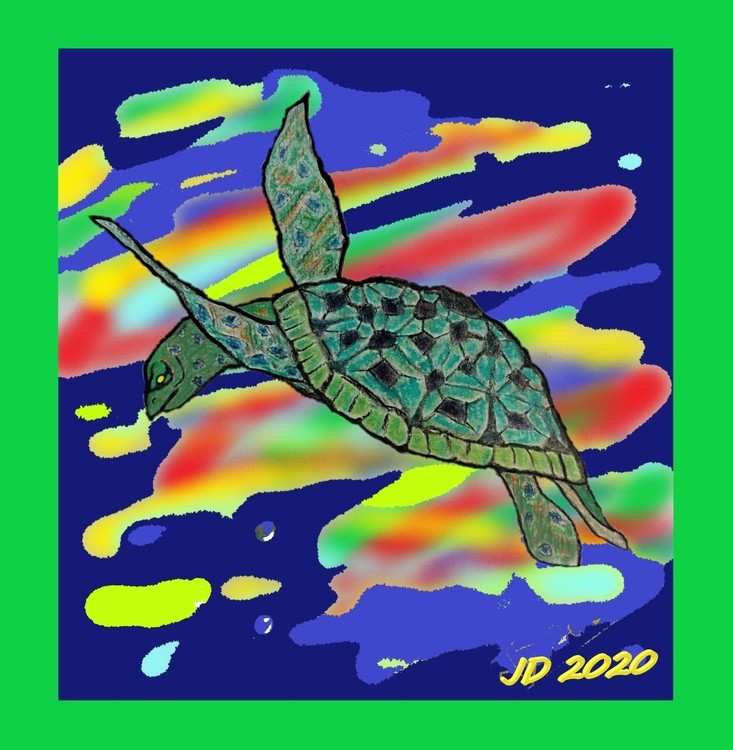 3D Turtle 2020
