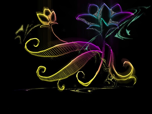 flower of life