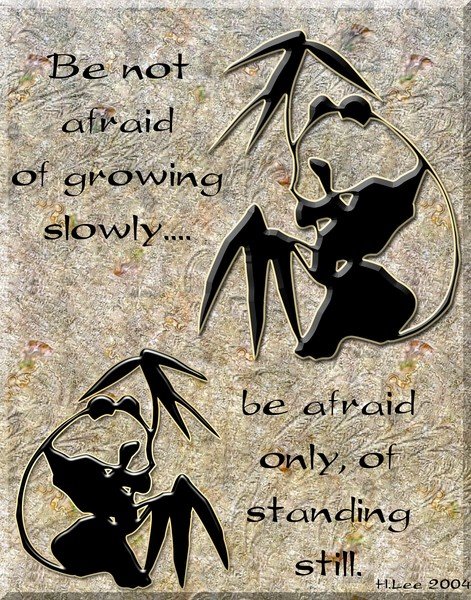 Chinese Proverb