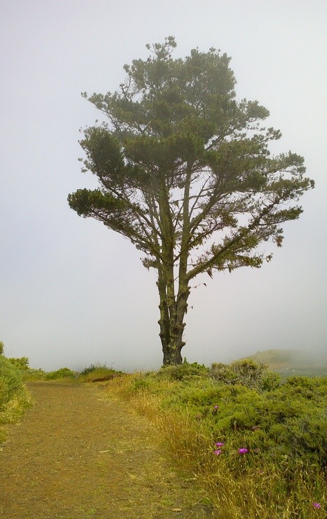 DSCF0017