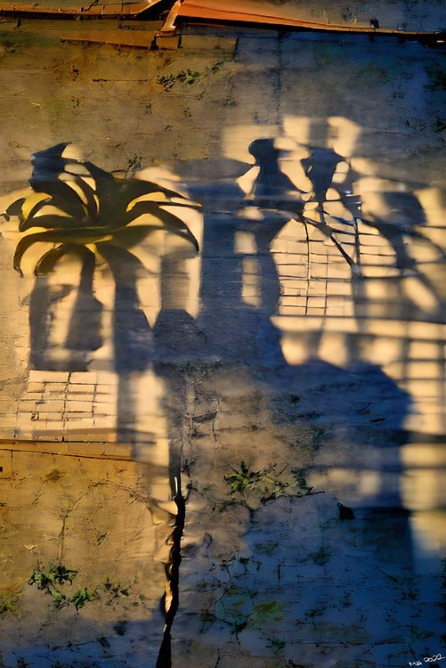 Shadows Of Yesteryear 