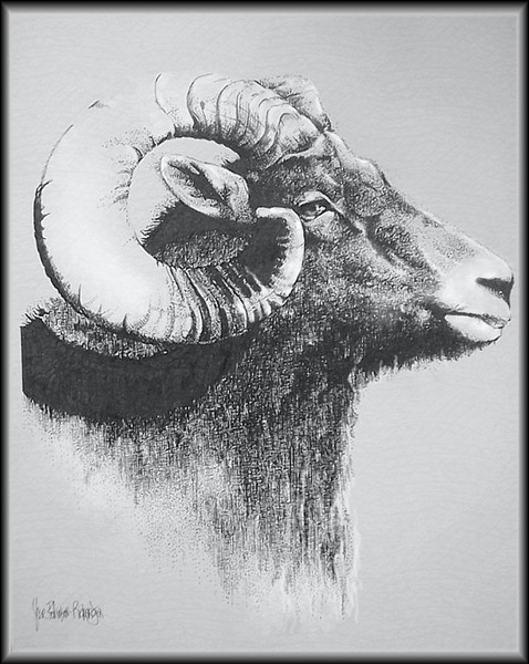 ...ramhorns