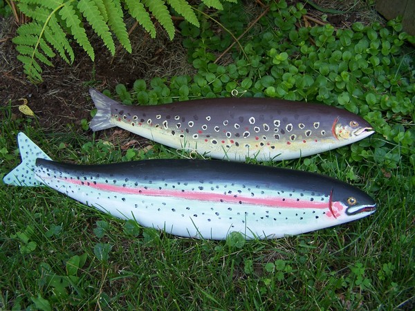 Fish Decoys
