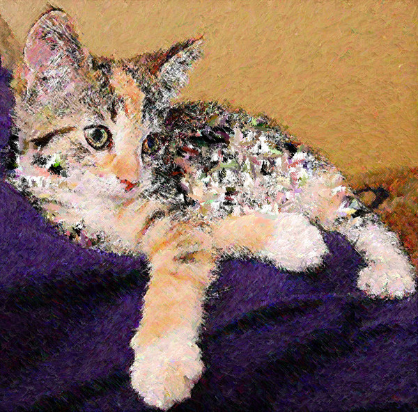 Painted Cat