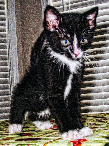 Reverse as a kitten.