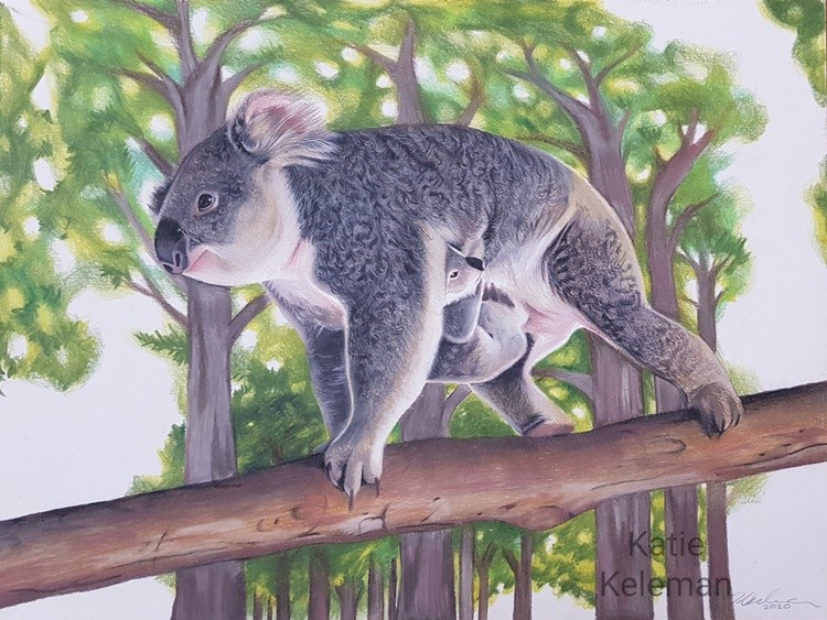 Home among the Gum Trees