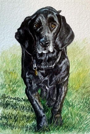 Murphy 