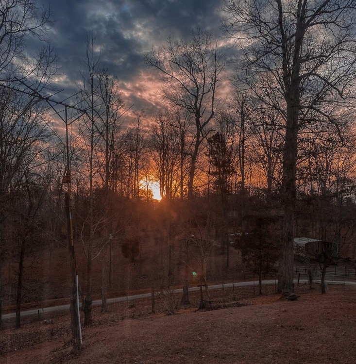 Morning Has Broken 