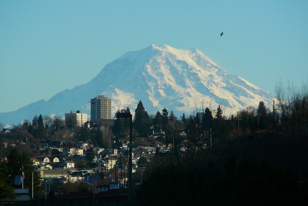 from tacoma