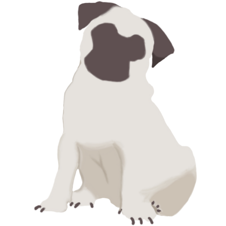 Pug