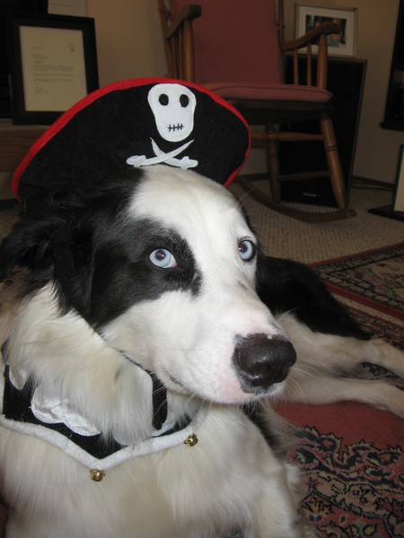 Pirate Blue