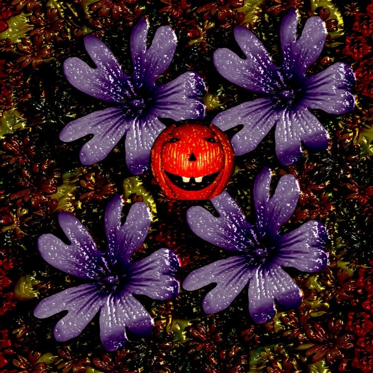 dark flower forest and a pumkin