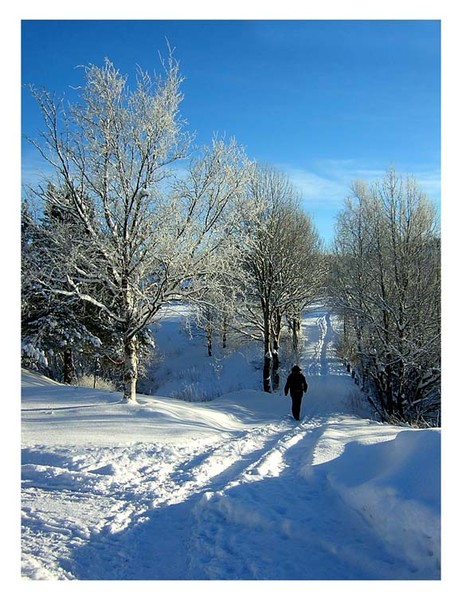 Winter mood on Dragvoll