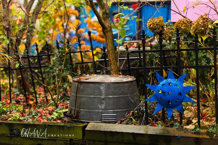 Rainy Day At The Painted Ladies 
