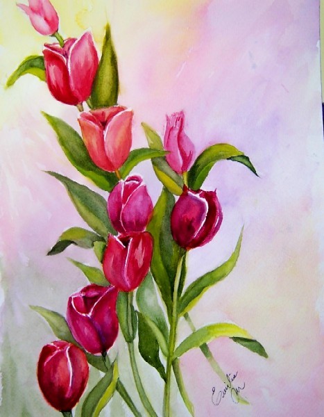 Red Tulips