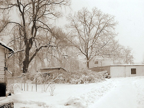 fresh fallen snow