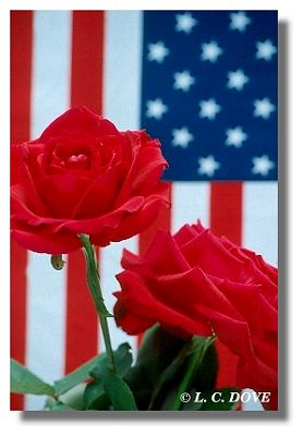 Oh.. So Patriotic -GR001058