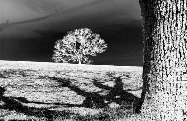 Reaching Shadows