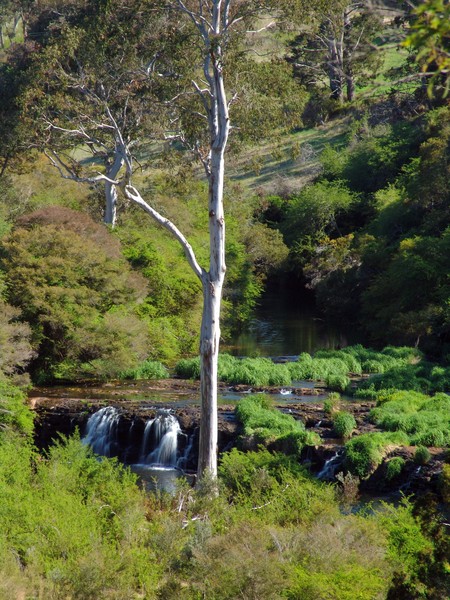 Spring in Oz