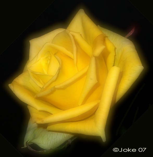 Have all a beautiful weekend