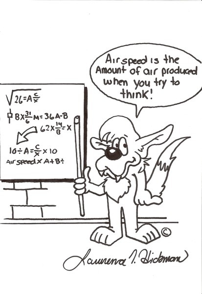 Airspeed