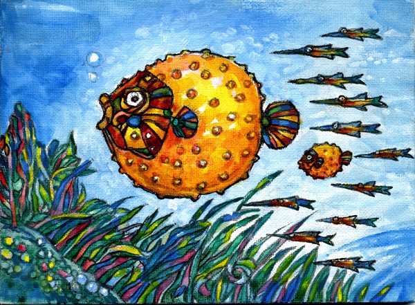 RED EYE FISH-2